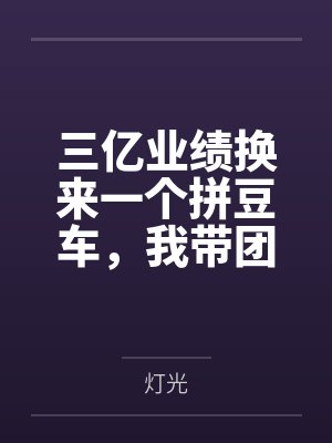 三亿业绩换来一个拼豆车，我带团跳槽后他疯了