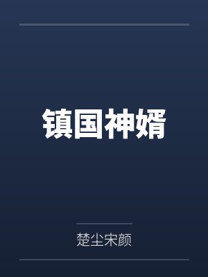 镇国神婿笔趣阁无弹窗